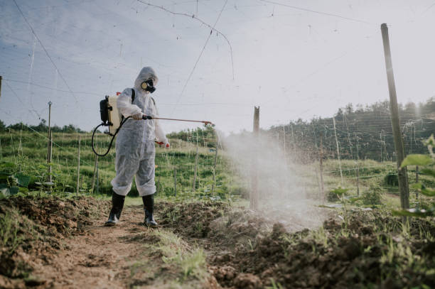 Best Local Pest Control Services  in Shandon, CA