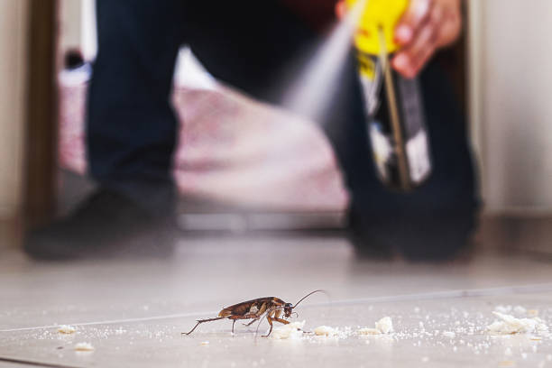 Shandon, CA Pest Control Company